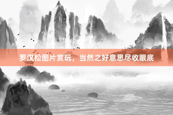 罗汉松图片赏玩，当然之好意思尽收眼底