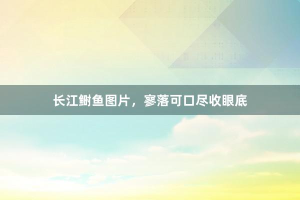 长江鲥鱼图片，寥落可口尽收眼底