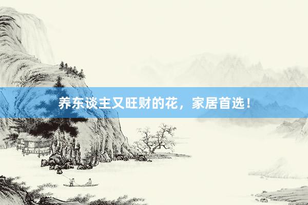 养东谈主又旺财的花，家居首选！